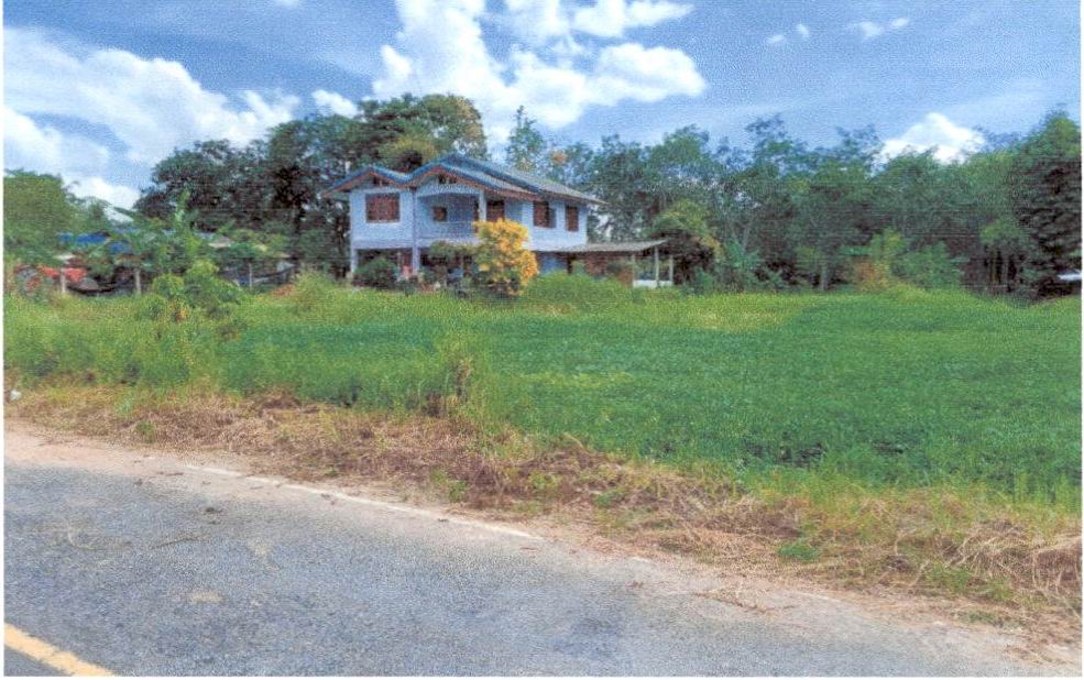 ขายทอดตลาด ที่ดินพร้อมสิ่งปลูกสร้าง ต.กำแพงเพชร อ.รัตภูมิ จ.สงขลา