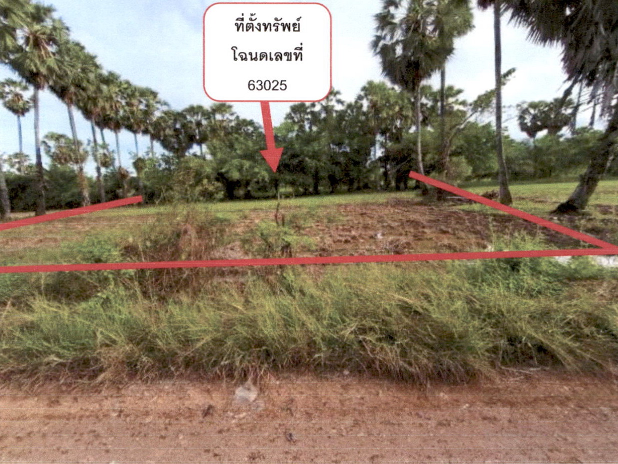 ขายทอดตลาด ที่ดินว่างเปล่า ต.ม่วงงาม อ.สิงหนคร จ.สงขลา