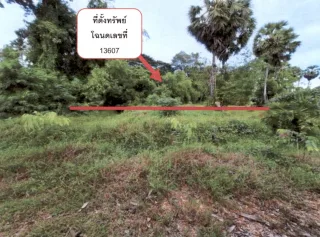 รูปทรัพย์ 2