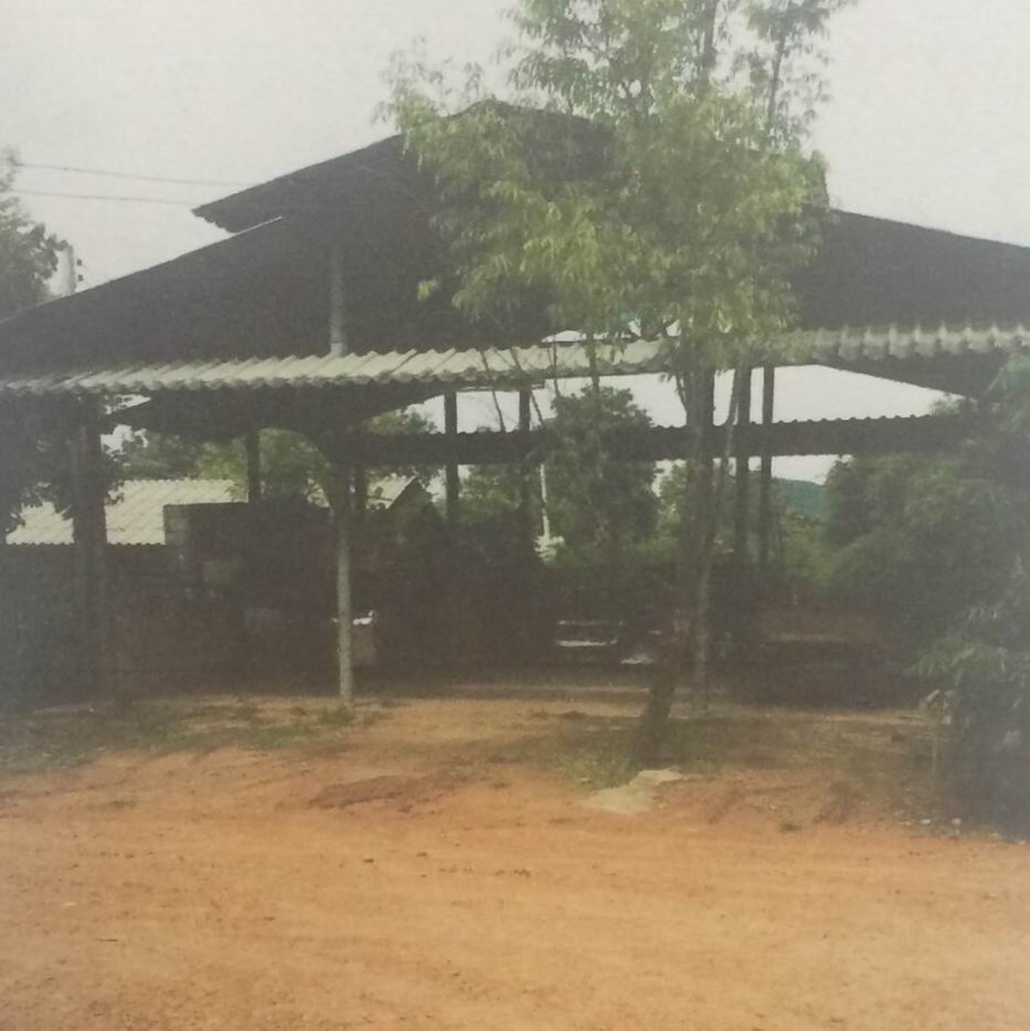 ขายทอดตลาด ที่ดินพร้อมสิ่งปลูกสร้าง ต.ทาขุมเงิน อ.แม่ทา จ.ลำพูน