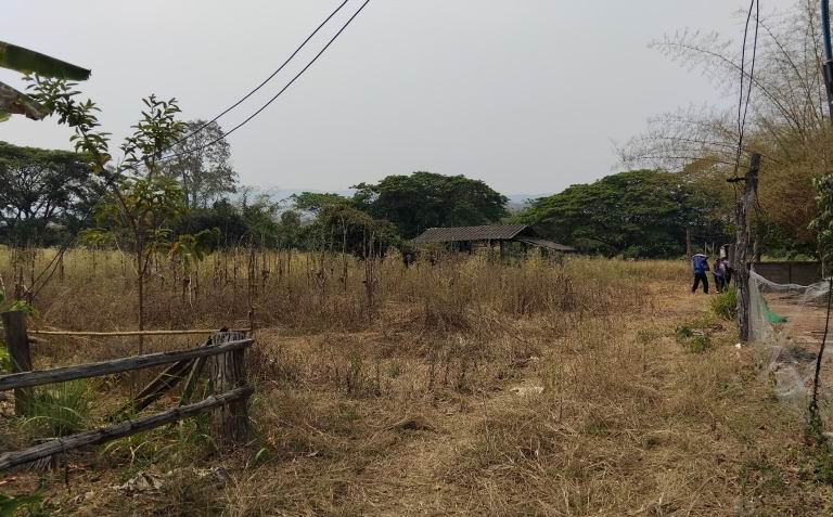 ขายทอดตลาด ที่ดินว่างเปล่า ต.แม่ลาน อ.ลี้ จ.ลำพูน
