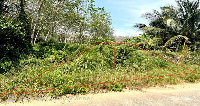 ขายทอดตลาด ที่ดินว่างเปล่า ต.ฉลุง อ.หาดใหญ่ จ.สงขลา