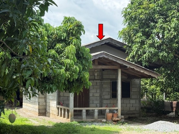 ขายทอดตลาด ที่ดินพร้อมสิ่งปลูกสร้าง ต.บ้านโฮ่ง อ.บ้านโฮ่ง จ.ลำพูน