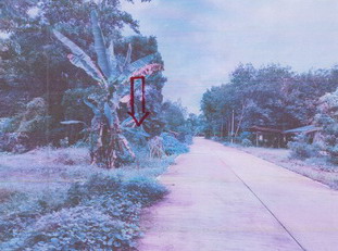 ขายทอดตลาด ที่ดินว่างเปล่า ต.ท่าชะมวง อ.รัตภูมิ จ.สงขลา