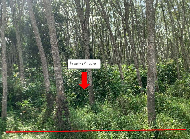 ขายทอดตลาด ที่ดินว่างเปล่า ต.ทุ่งใหญ่ อ.หาดใหญ่ จ.สงขลา