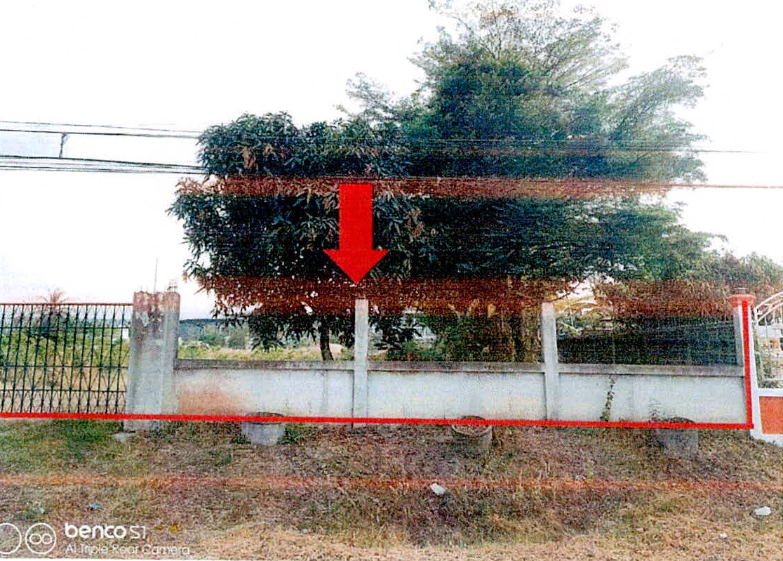 ขายทอดตลาด ที่ดินว่างเปล่า ต.เฉนียง อ.เมืองสุรินทร์ จ.สุรินทร์