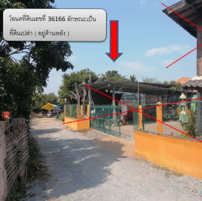 ขายทอดตลาด ที่ดินว่างเปล่า ต.เหล่ายาว อ.บ้านโฮ่ง จ.ลำพูน