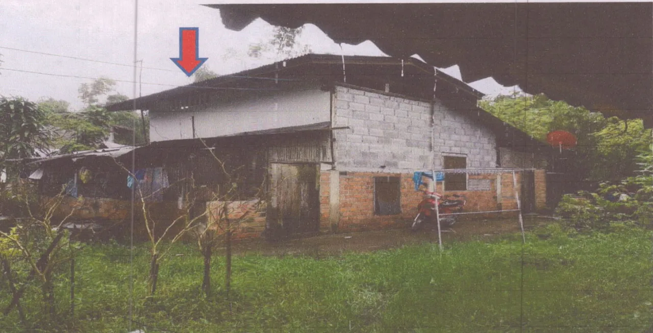 ขายทอดตลาด ที่ดินพร้อมสิ่งปลูกสร้าง ต.ทำนบ อ.สิงหนคร จ.สงขลา