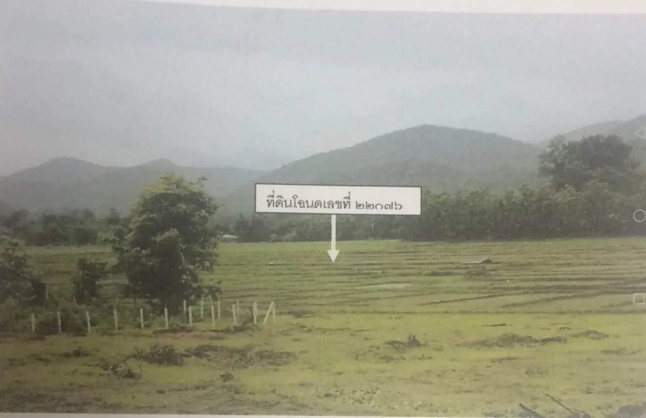 ขายทอดตลาด ที่ดินว่างเปล่า ต.ทากาศ อ.แม่ทา จ.ลำพูน