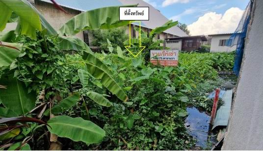 ขายทอดตลาด ที่ดินว่างเปล่า ต.สำโรงใต้(สำโรง) อ.พระประแดง(พระโขนง) จ.สมุทรปราการ