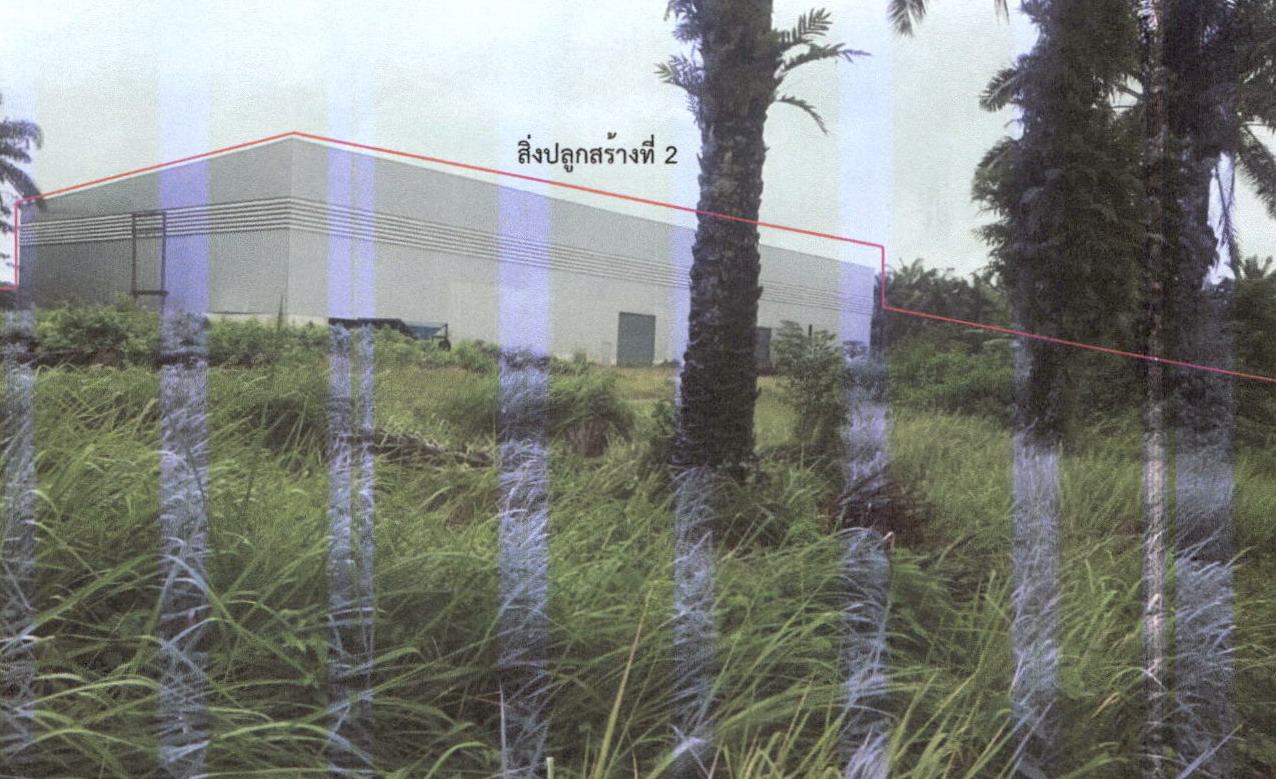 ขายทอดตลาด ที่ดินพร้อมสิ่งปลูกสร้าง ต.ลำทับ อ.ลำทับ จ.กระบี่