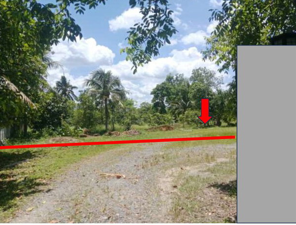ขายทอดตลาด ที่ดินว่างเปล่า ต.พะวง อ.เมืองสงขลา จ.สงขลา