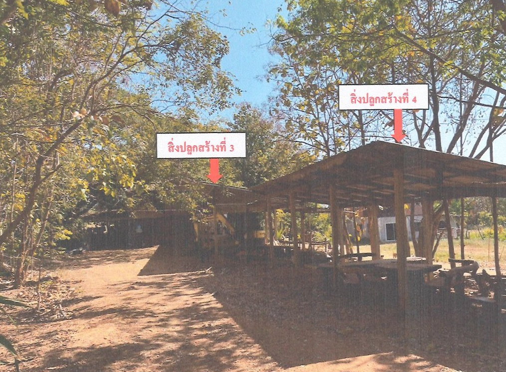 ขายทอดตลาด ที่ดินพร้อมสิ่งปลูกสร้าง ต.ดงเมืองแอม อ.เขาสวนกวาง จ.ขอนแก่น