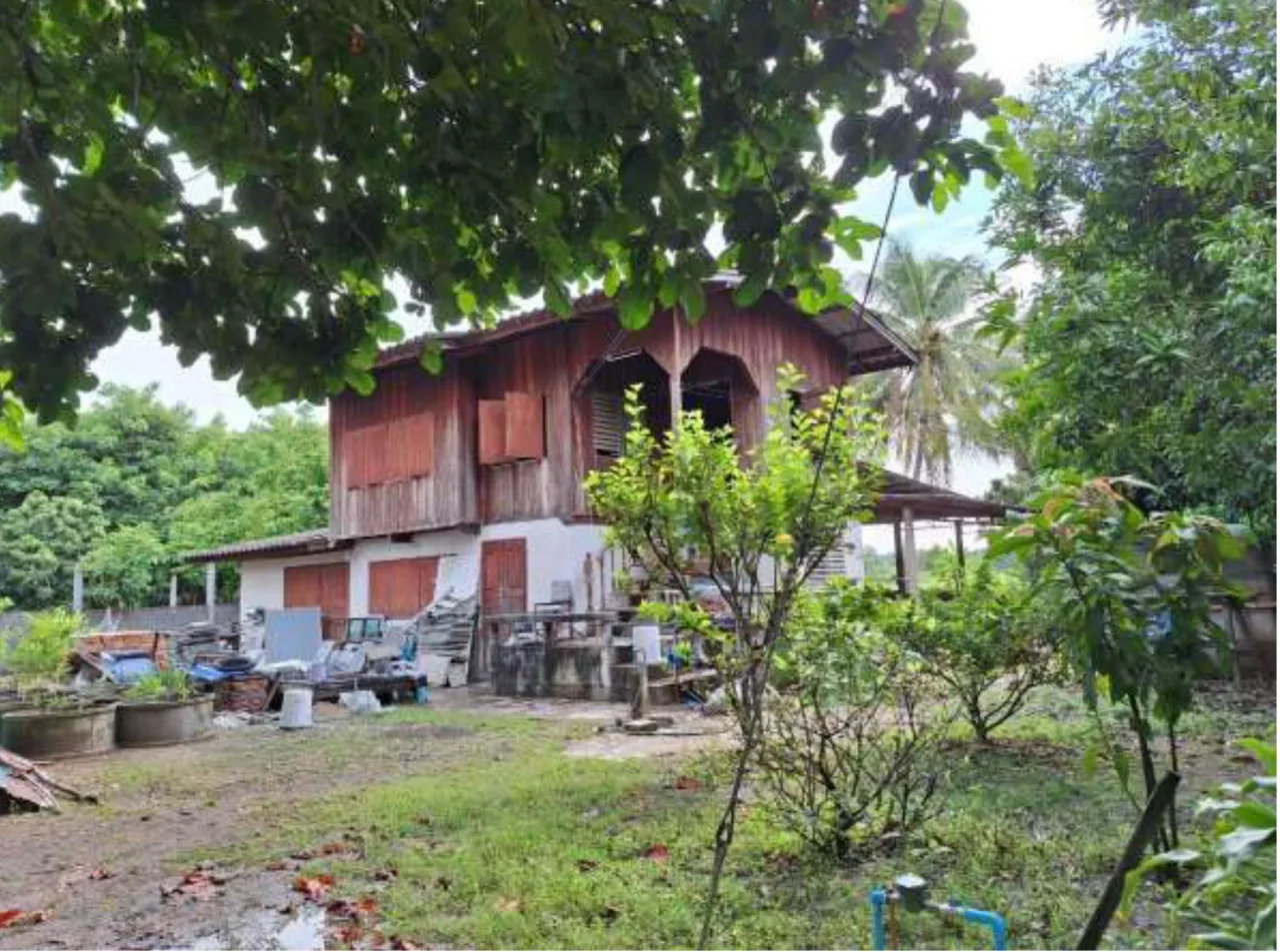 ขายทอดตลาด ที่ดินพร้อมสิ่งปลูกสร้าง ต.เหมืองง่า อ.เมืองลำพูน จ.ลำพูน