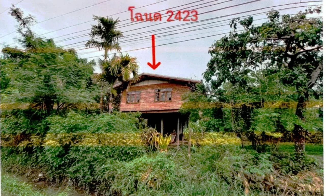ขายทอดตลาด ที่ดินพร้อมสิ่งปลูกสร้าง ต.ลำดวน อ.ลำดวน จ.สุรินทร์