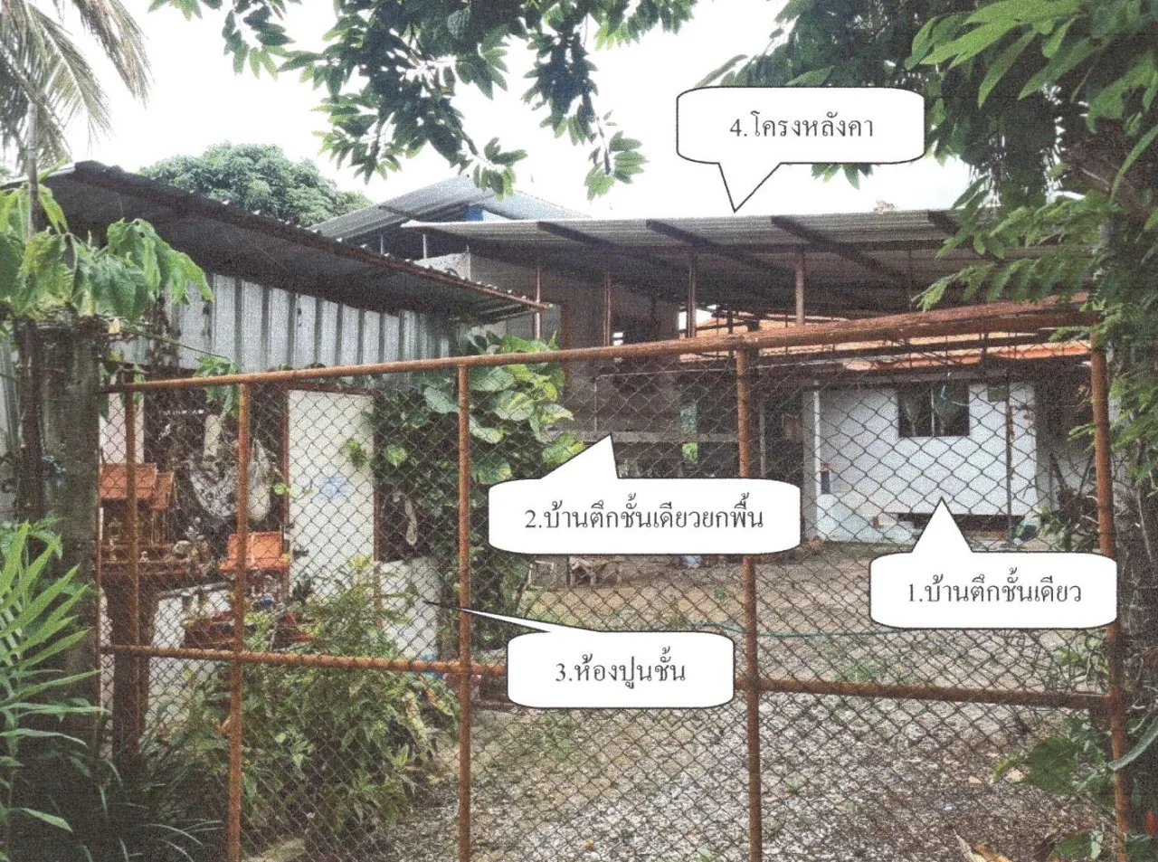 ขายทอดตลาด ที่ดินพร้อมสิ่งปลูกสร้าง ต.แม่แรง อ.ป่าซาง จ.ลำพูน