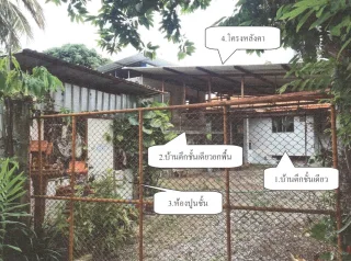 รูปทรัพย์ 1