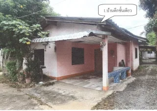 รูปทรัพย์ 2