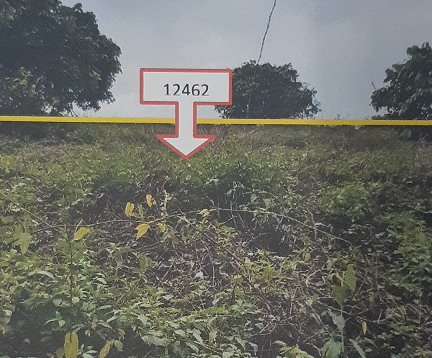 ขายทอดตลาด ที่ดินว่างเปล่า ต.บ้านปวง อ.ทุ่งหัวช้าง จ.ลำพูน