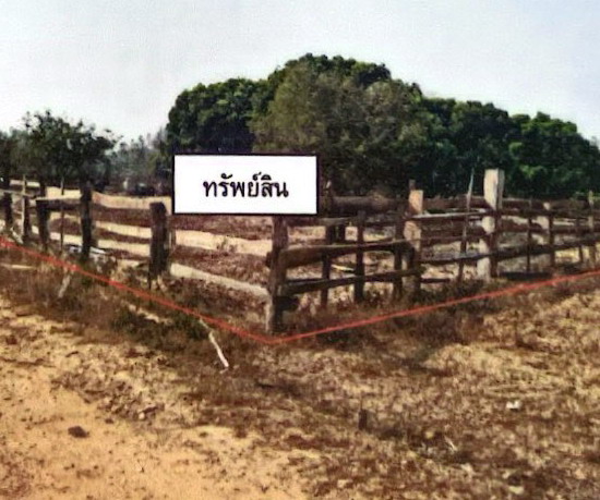 ขายทอดตลาด ที่ดินว่างเปล่า ต.ทุ่งหัวช้าง อ.ทุ่งหัวช้าง จ.ลำพูน
