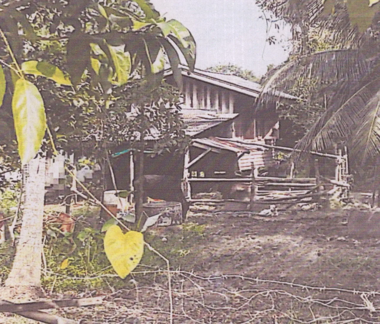 ขายทอดตลาด ที่ดินพร้อมสิ่งปลูกสร้าง ต.เกาะใหญ่ อ.กระแสสินธุ์ จ.สงขลา