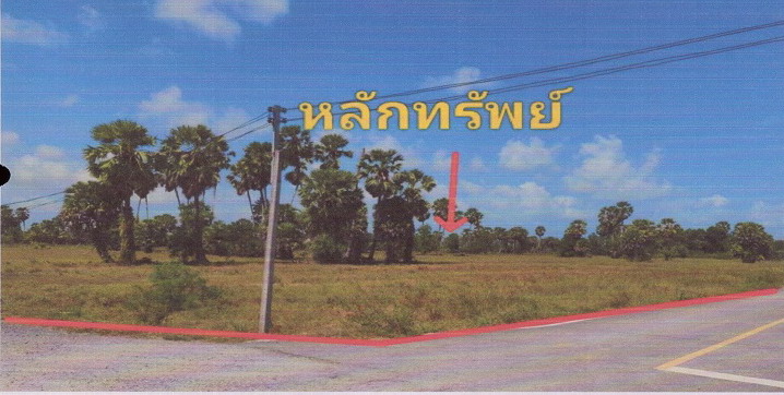 ขายทอดตลาด ที่ดินว่างเปล่า ต.ม่วงงาม อ.สิงหนคร จ.สงขลา