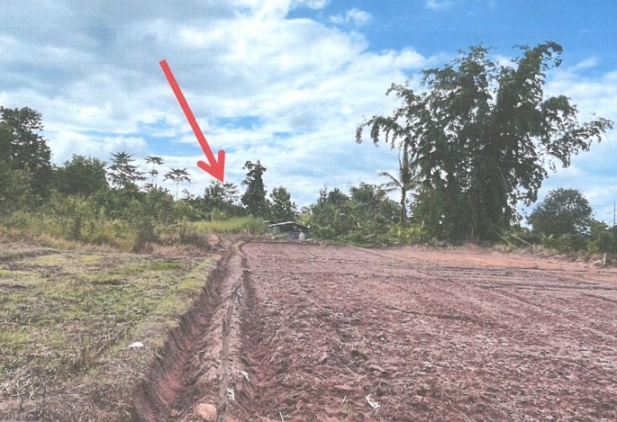 ขายทอดตลาด ที่ดินว่างเปล่า ต.ศรีวิชัย อ.ลี้ จ.ลำพูน