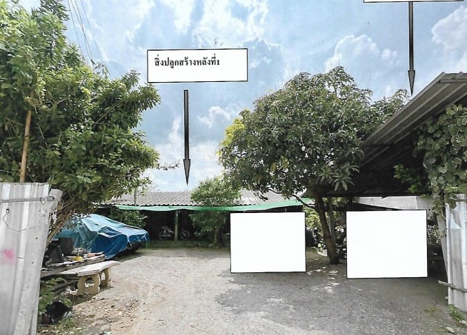 ขายทอดตลาด ที่ดินพร้อมสิ่งปลูกสร้าง ต.บ้านโฮ่ง อ.บ้านโฮ่ง จ.ลำพูน