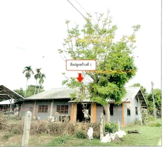 รูปทรัพย์ 1