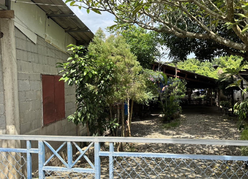 ขายทอดตลาด ที่ดินพร้อมสิ่งปลูกสร้าง ต.บ้านเรือน อ.ป่าซาง จ.ลำพูน