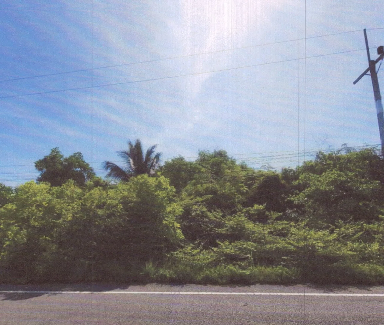 ขายทอดตลาด ที่ดินว่างเปล่า ต.ชิงโค อ.สิงหนคร จ.สงขลา