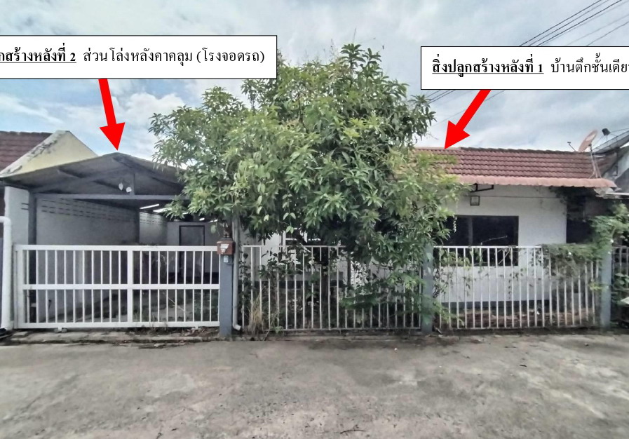 ขายทอดตลาด ที่ดินพร้อมสิ่งปลูกสร้าง ต.ต้นธง อ.เมืองลำพูน จ.ลำพูน