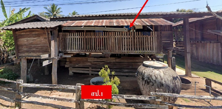 ขายทอดตลาด ที่ดินพร้อมสิ่งปลูกสร้าง ต.บ้านปวง อ.กิ่งอำเภอทุ่งหัวช้าง จ.ลำพูน