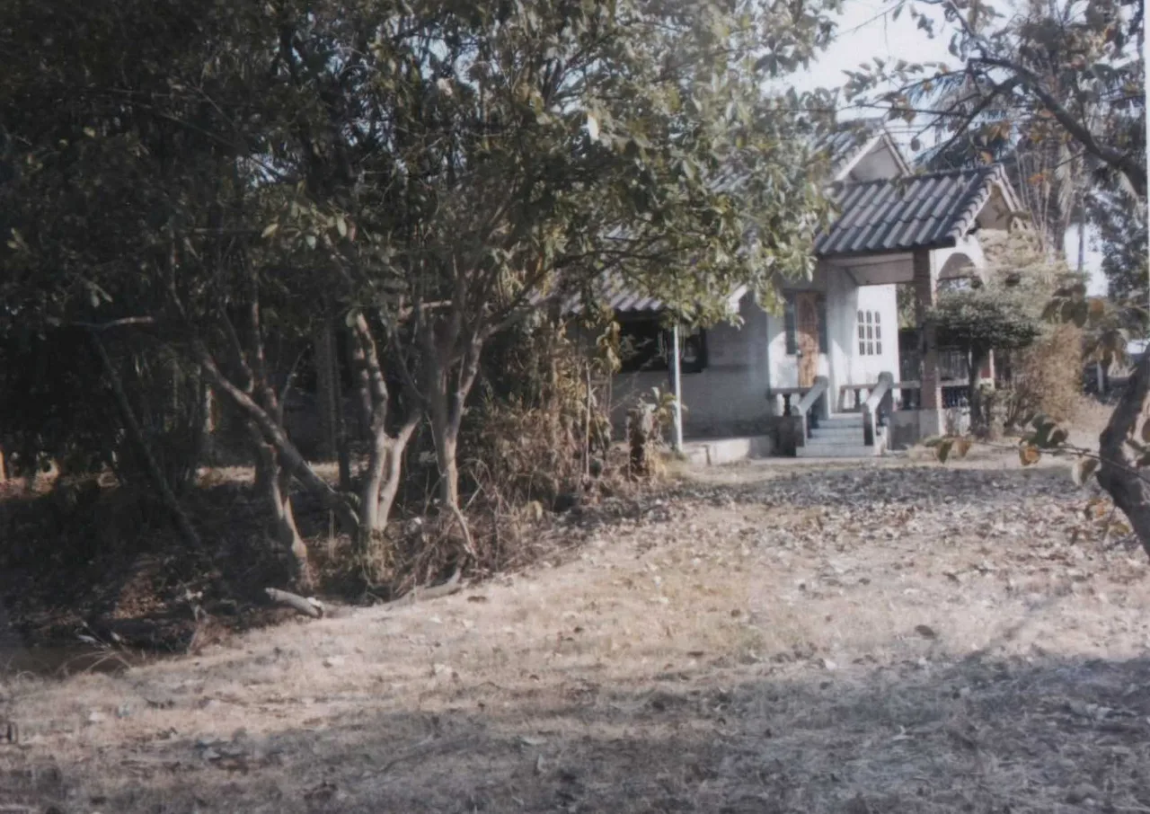 ขายทอดตลาด ที่ดินพร้อมสิ่งปลูกสร้าง ต.บ้านผือ อ.จอมพระ จ.สุรินทร์