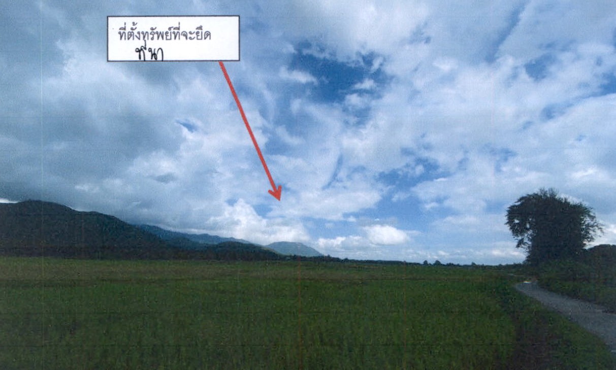 ขายทอดตลาด ที่ดินว่างเปล่า ต.ป่าพลู อ.บ้านโฮ่ง จ.ลำพูน