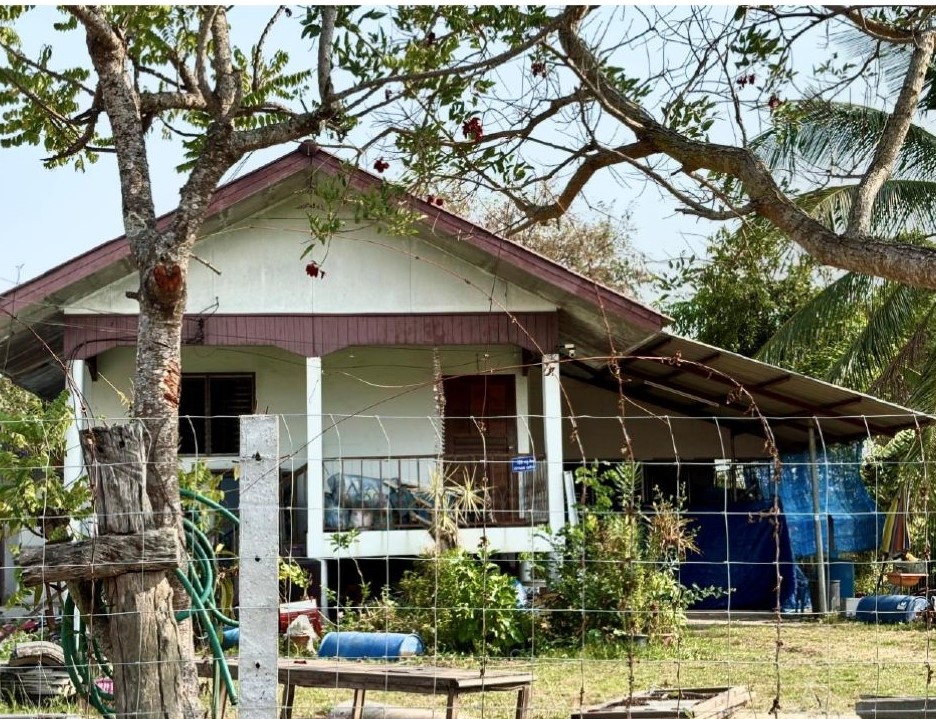 ขายทอดตลาด ที่ดินพร้อมสิ่งปลูกสร้าง ต.หนองหนาม อ.เมืองลำพูน จ.ลำพูน