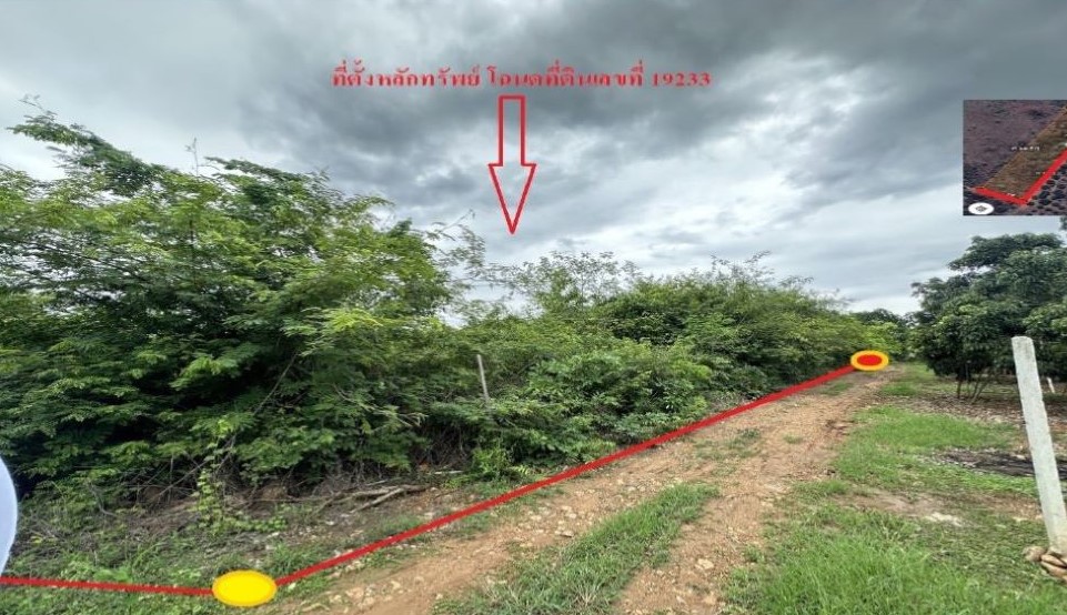ขายทอดตลาด ที่ดินว่างเปล่า ต.หนองปลาสวาย อ.บ้านโฮ่ง จ.ลำพูน