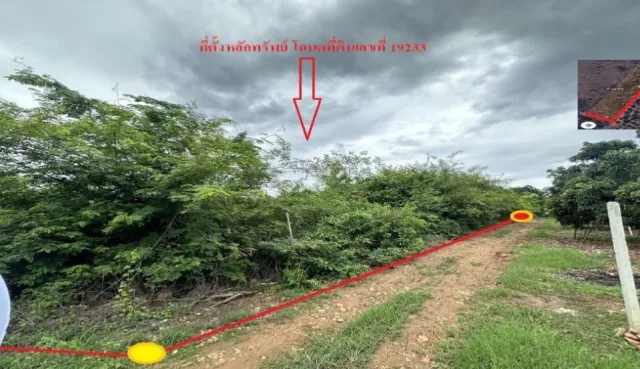 ขายทอดตลาด ที่ดินว่างเปล่า ต.หนองปลาสวาย อ.บ้านโฮ่ง จ.ลำพูน