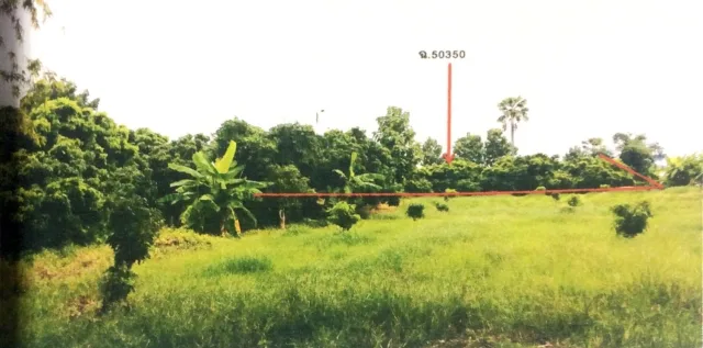 ขายทอดตลาด ที่ดินว่างเปล่า ต.เหมืองจี้ อ.เมืองลำพูน จ.ลำพูน