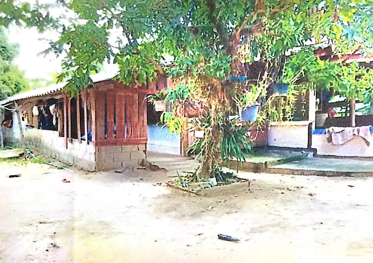 ขายทอดตลาด ที่ดินพร้อมสิ่งปลูกสร้าง ต.นาทราย อ.ลี้ จ.ลำพูน
