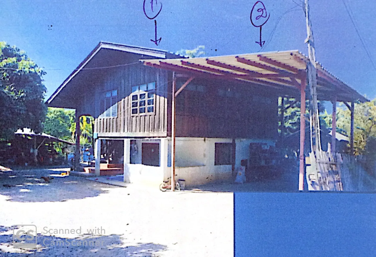 ขายทอดตลาด ที่ดินพร้อมสิ่งปลูกสร้าง ต.ป่าไผ่ อ.ลี้ จ.ลำพูน