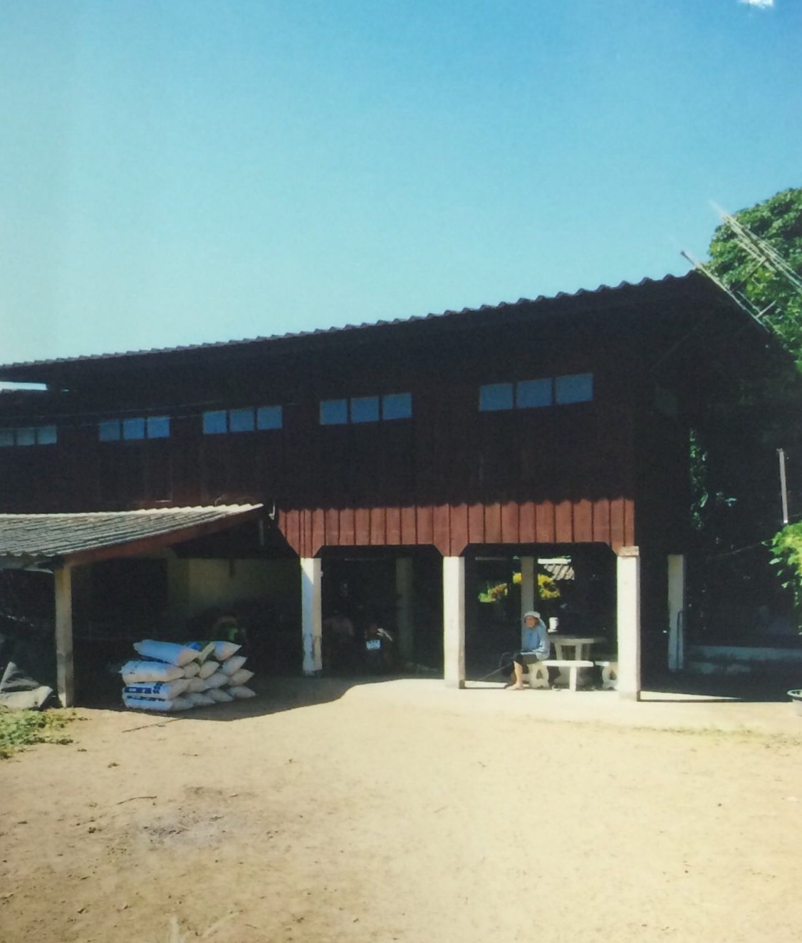 ขายทอดตลาด ที่ดินพร้อมสิ่งปลูกสร้าง ต.ป่าสัก อ.เมืองลำพูน จ.ลำพูน