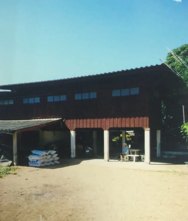 ขายทอดตลาด ที่ดินพร้อมสิ่งปลูกสร้าง ต.ป่าสัก อ.เมืองลำพูน จ.ลำพูน