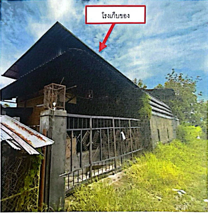 ขายทอดตลาด ที่ดินพร้อมสิ่งปลูกสร้าง ต.มะเขือแจ้ อ.เมืองลำพูน จ.ลำพูน