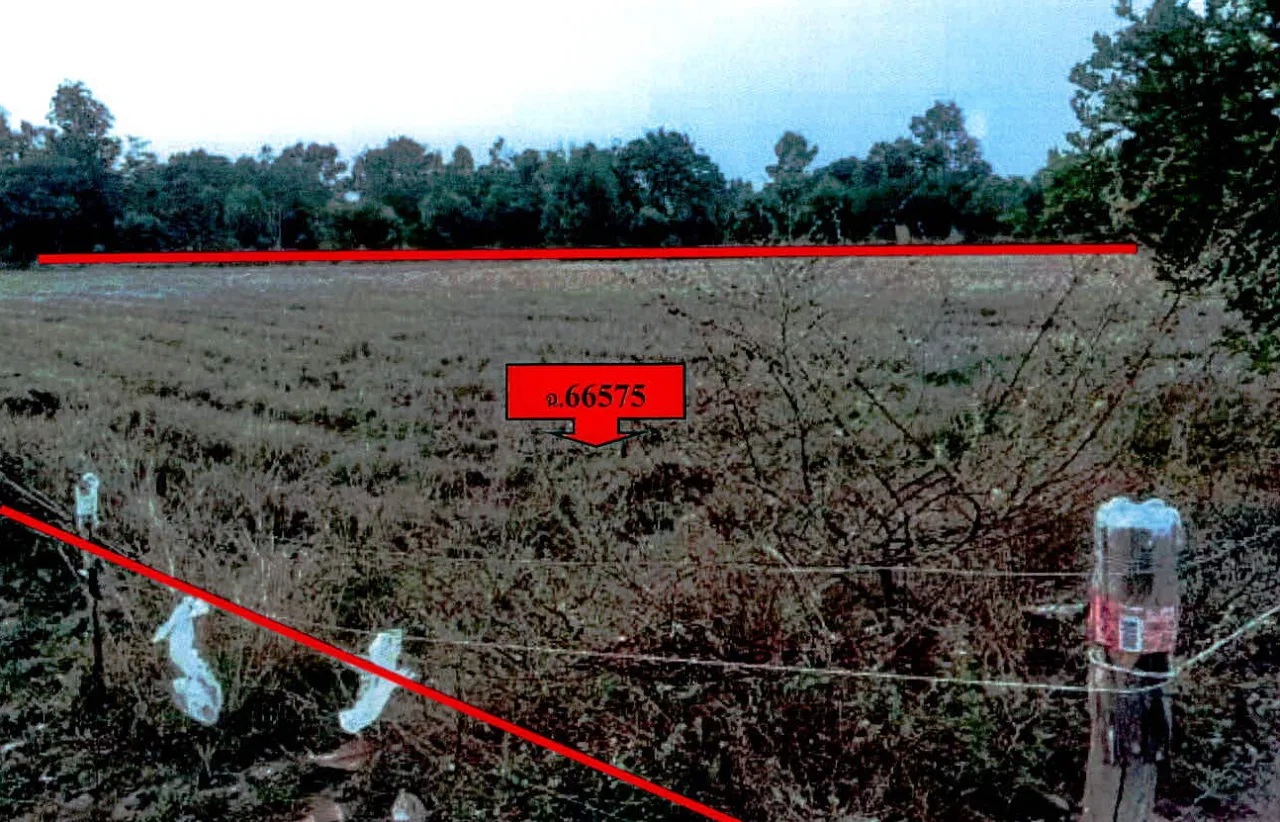 ขายทอดตลาด ที่ดินว่างเปล่า ต.บ้านพลวง อ.ปราสาท จ.สุรินทร์