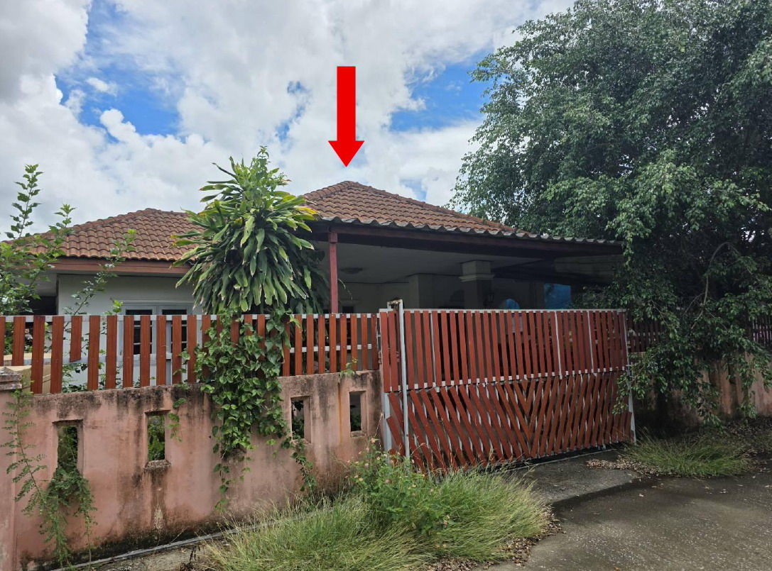ขายทอดตลาด ที่ดินพร้อมสิ่งปลูกสร้าง ต.มะเขือแจ้ อ.เมืองลำพูน จ.ลำพูน