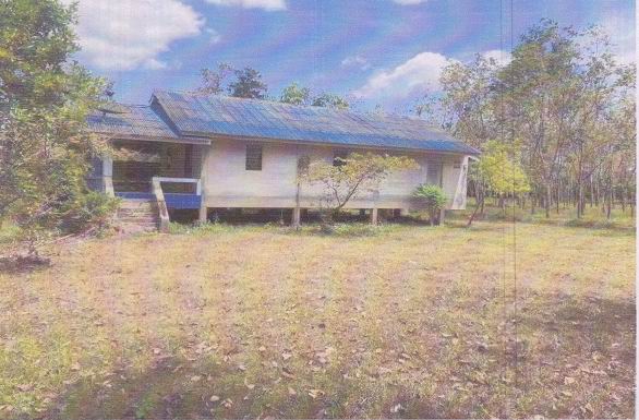ขายทอดตลาด ที่ดินพร้อมสิ่งปลูกสร้าง ต.ควนรู อ.รัตภูมิ จ.สงขลา