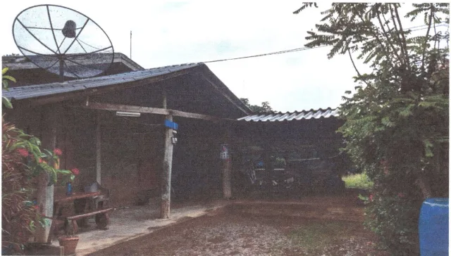ขายทอดตลาด ที่ดินพร้อมสิ่งปลูกสร้าง ต.แม่ตืน อ.ลี้ จ.ลำพูน