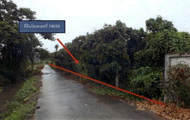 ขายทอดตลาด ที่ดินว่างเปล่า ต.ต้นธง อ.เมืองลำพูน จ.ลำพูน