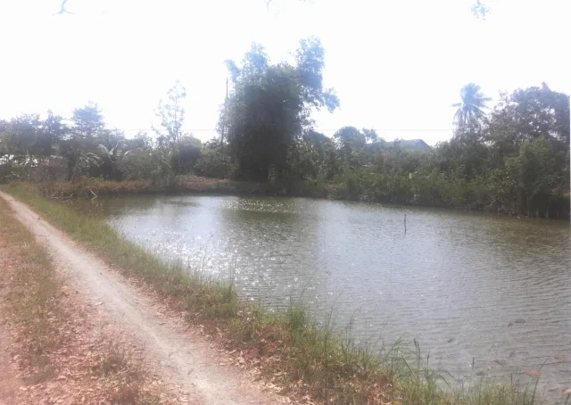 ขายทอดตลาด ที่ดินว่างเปล่า ต.คลองนิยมยาตรา อ.บางบ่อ จ.สมุทรปราการ